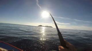 Pesca de fondo en Isla del Tiburón  | Bahía de kino, Sonora, México |
