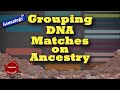 Grouping DNA Cousin Matches on Ancestry