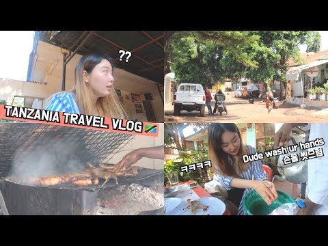 🇹🇿A KOREAN TRIES TANZANIAN BARBECUE FOR THE FIRST TIME I Tanzania Travel vlog