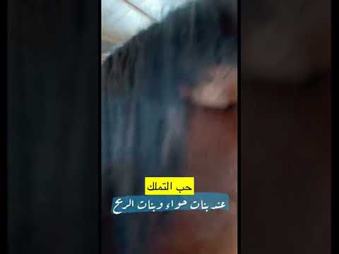 مشكلة غيرة ال