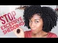 Stop Excessive Hair Shedding + Hair Loss FAST! How To Tea Rinse | Natural Green Tea