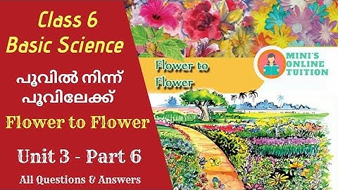Class 6 | Basic Science | Flower to Flower Part 6 | Worksheet | Kite Victers First bell |