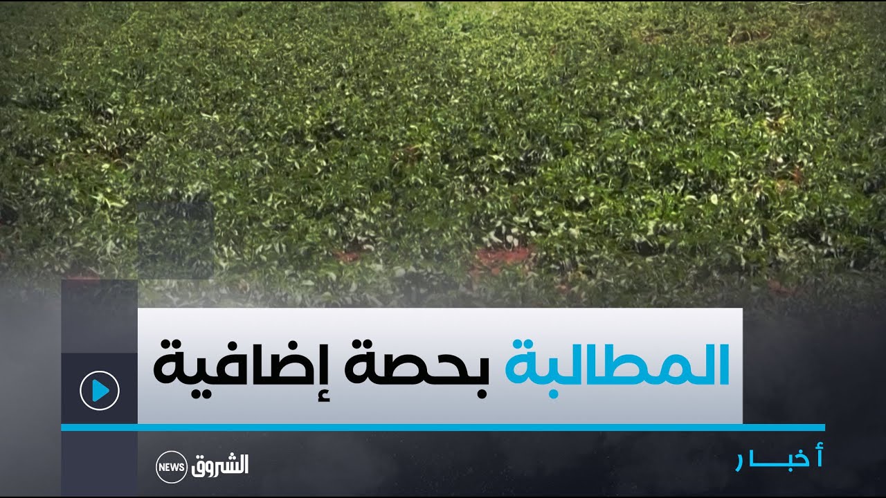 #عين_الدفلى| فلاحو شعبة البطاطا يطالبون بحصة إضافية من مياه السقي لإنقاذ مزارعهم من الجفاف