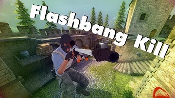 Flashbang Kill - CSGO Highlight