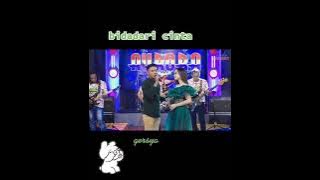 bidadari cinta (Tasya rosmala- Gerry Mahesa) Aurora