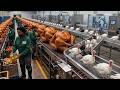 Inside a Roast Turkey Factory | How Millions of Turkeys Are Processed Every Day