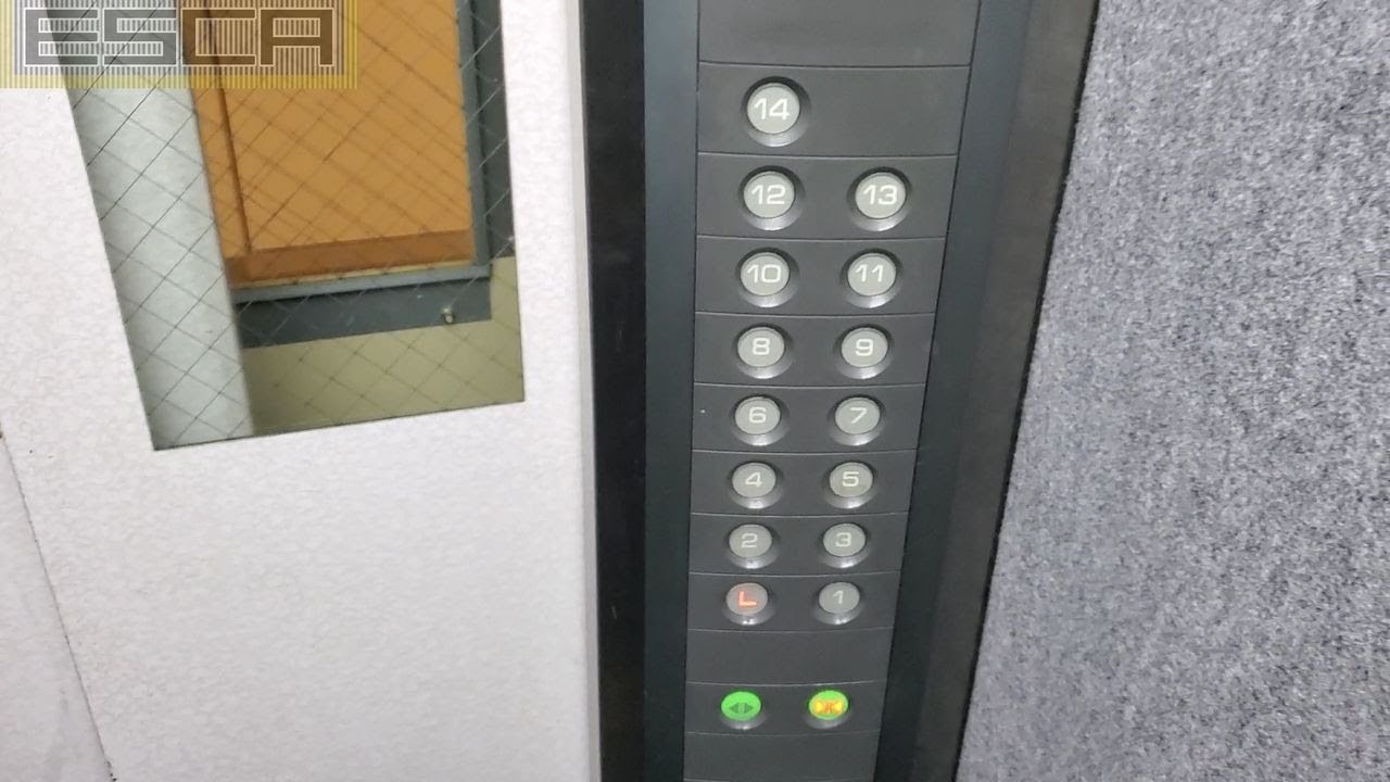 オーチス エレベーター 600kg 9人乗り 13F-L OTIS Elevator - YouTube