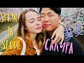 VLOG: Цветение Сакуры В Корее