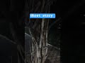 ghost story #silent_coder #food #coding #travel