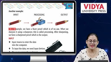 Ch 3 | VUP | Computer Application | Class 2 | Working of Computer | For children
