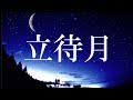 立待月 北野まち子  COVER