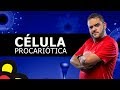 CÉLULA PROCARIÓTICA (AULA TEÓRICA)