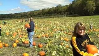 Applefest 2010