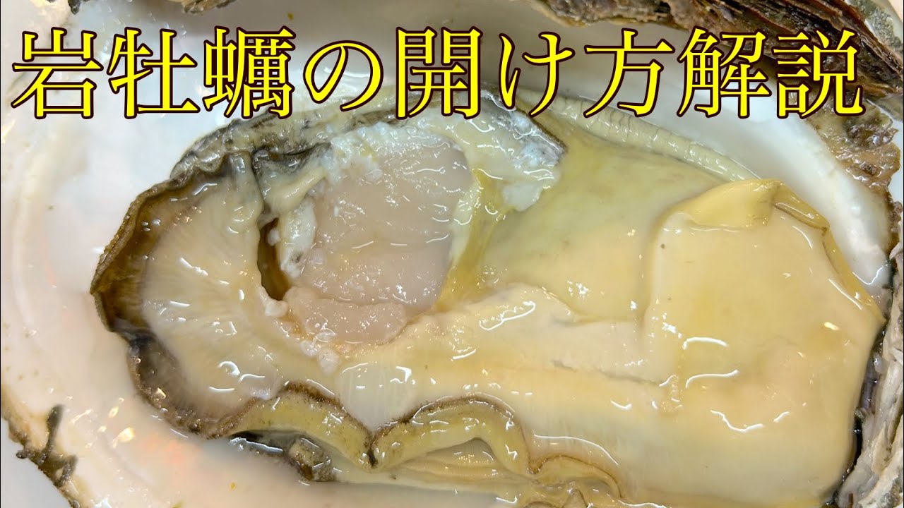 岩 牡蠣 の 開け 方