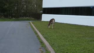 DSCN0758