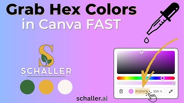 How to get color hex codes in canva quick color picker trick!
