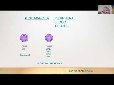 Mixed phenotype acute leukemia diagnosis