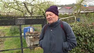 Coulounieix-Chamiers : les jardins du cheminot à l'heure du confinement