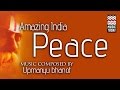 Amazing india  peace  audio  instrumental  world music