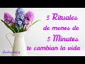 5 RITUALES de menos de 5 MINUTOS te CAMBIAN la VIDA