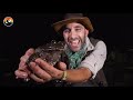 GIANT FROG KISSED! - Prince or Princess?