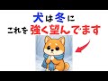 【お願い】寒い時期、犬が飼い主にお願いしたいこと 12選