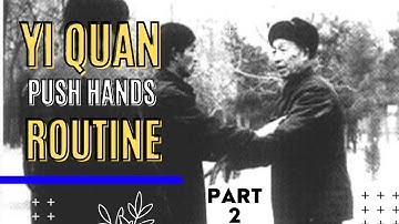 Yiquan Push Hands Routine Part 2 #yiquan #yaozongxun #kungfu
