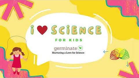 I ❤️ Science Video: Elastic Potential Energy