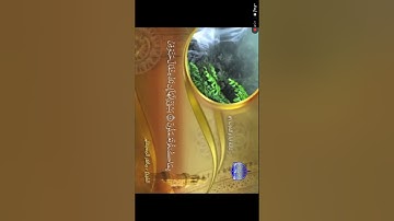 سوره لقمان من ١٥ الى ١٩