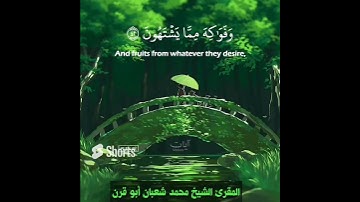 سورة المرسلات الشيخ محمد شعبان أبو قرن #محمد_شعبان_أبوقرن #اكسبلور #حالات_واتس #قران_كريم #اكسبلور