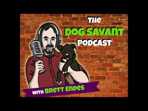 the-dog-savant-podcast:-episode-2---walking-your-dog-(audio-only)