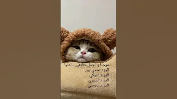 تحدي بين التوام التركي السوري الروسي 