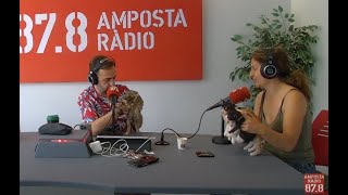 Adopta un amic pelut! Coneix els gatets i la gosseta podenca que necessiten una llar