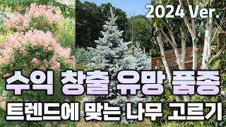 2024 나무농사 가이드! 수익 창출 유망 품종 4가지를 소개합니다.