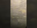 ولد في الحمام بنت سوي مقلب في الولد صوت يخوف يصرخ ولد في الحمام بنت سوي مقلب في الولد صوت يخوف يصرخ