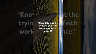 #patience #faith #walkingwithgod #flowers #bibleverse #fields #creation