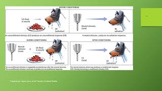 Chapter 5 Learning Classical conditioning  module A pt 1