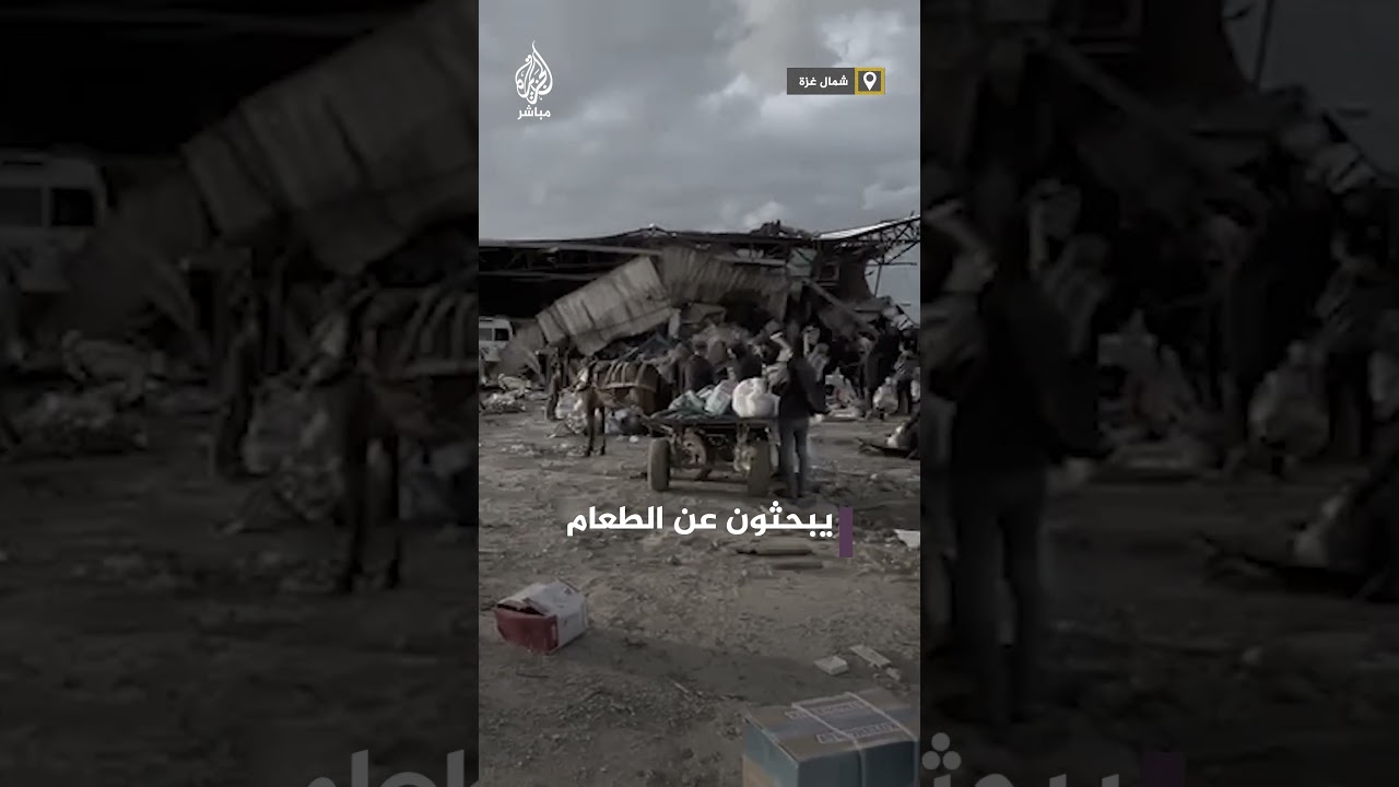 يبحثون عن الطعام.. يبحثون عن الحياة
