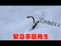 気が付かず渡った一本道...【ゴールデンレトリバー】