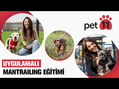 Video: Her Çocuğun Hizmet Köpekleri Hakkında Bilmeleri Gerekenler (Bunları Öğretmek İçin Eğlenceli Bir Yol)