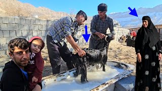 Nomadic Family’s Crazy Day: Oil, BBQ \u0026 Sheep Care! 🐑🔥🏕️