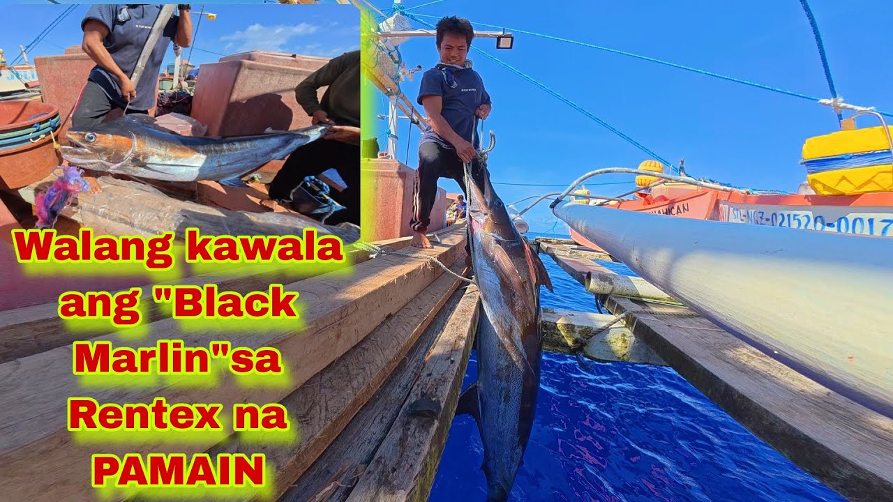 Pacific adv.P526|Walang kawala ang Black Marlin sa Rentex nyang pamain|From Samar to private na boya