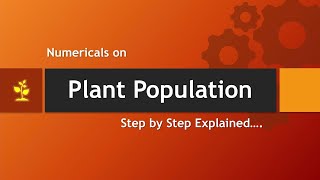 How to calculate Plant Population in Uniform Plant Spacing