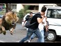 (Must watch) शेर आया प्रैंक.!! SHER AAYA PRANK | Pranks in India 2018