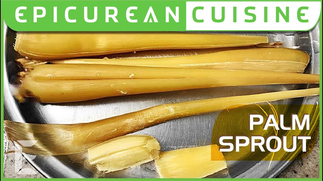 Palm Sprout | Epicurean Cuisine