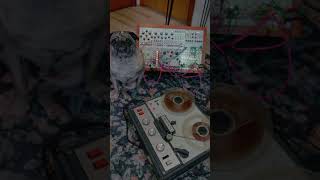Random Works miidii - Eurorack Module on ModularGrid