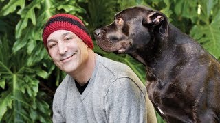 100 Million Dollars And 6 Months To Live