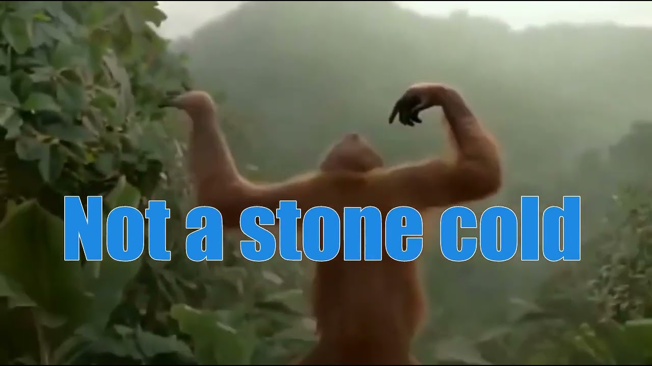 Totally isn't a stone cold