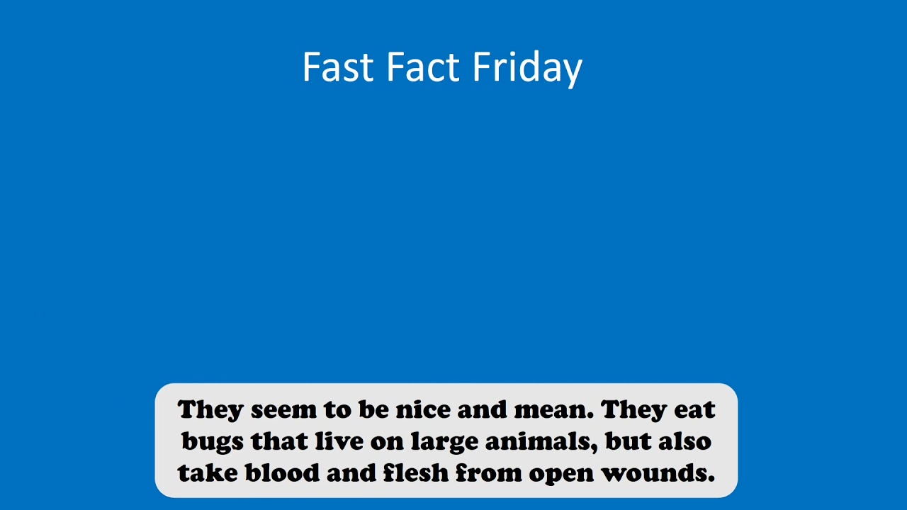 Fast Fact! 10/15/2021