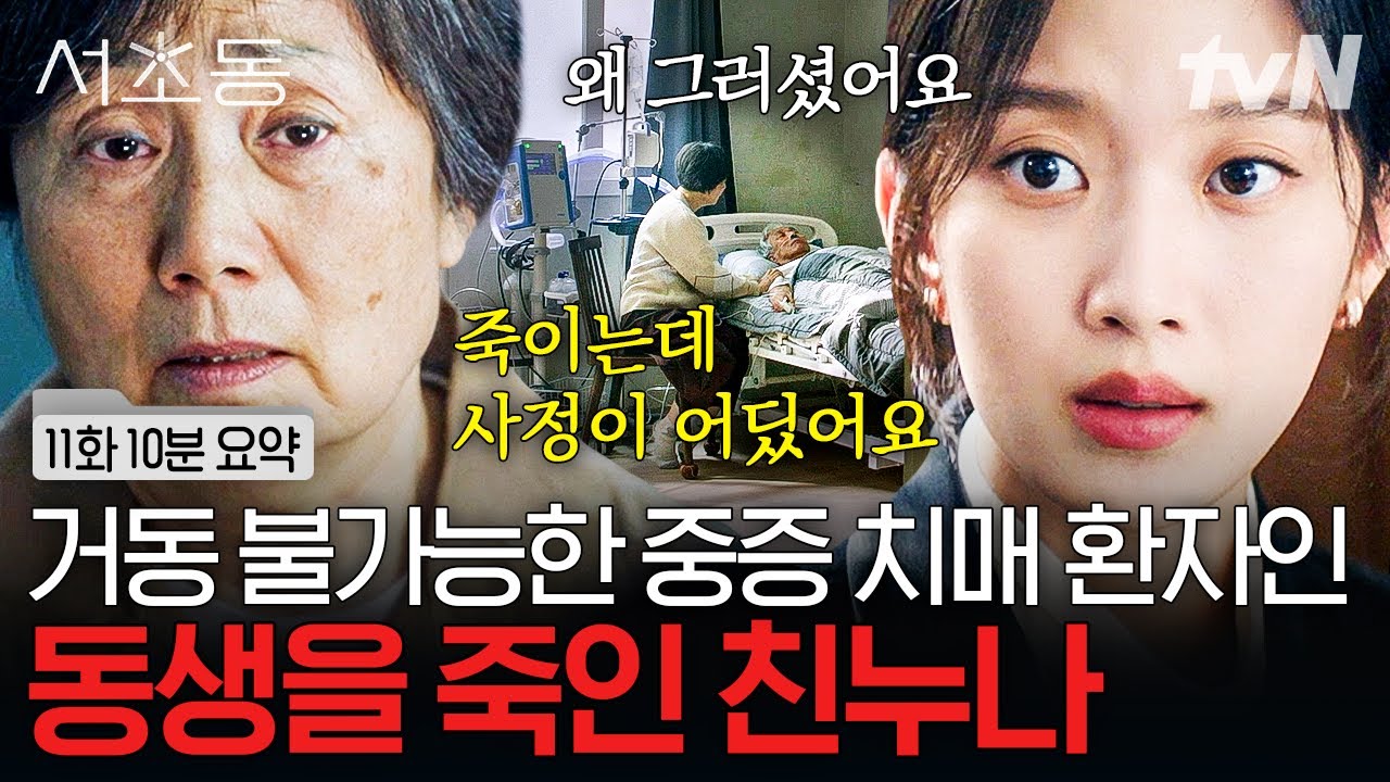 [11화 요약] 혼자 남겨질 동생이 걱정되어 범행을 저지른 할머니😧 | #서초동 #LawandTheCity